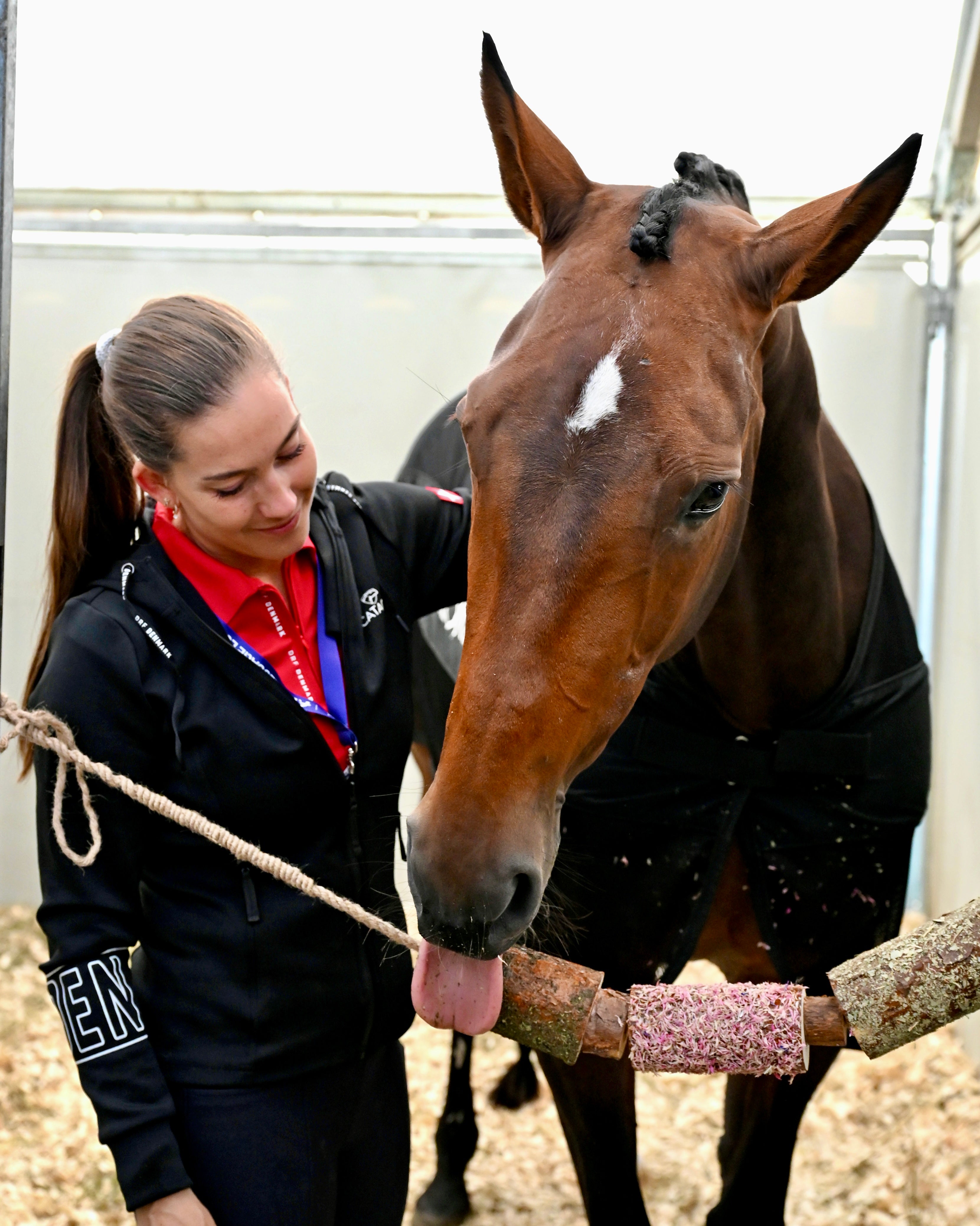Freestyles Wooden Chewy