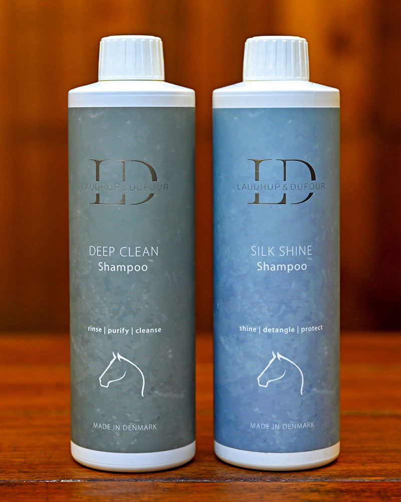 Clean & Shine Duo