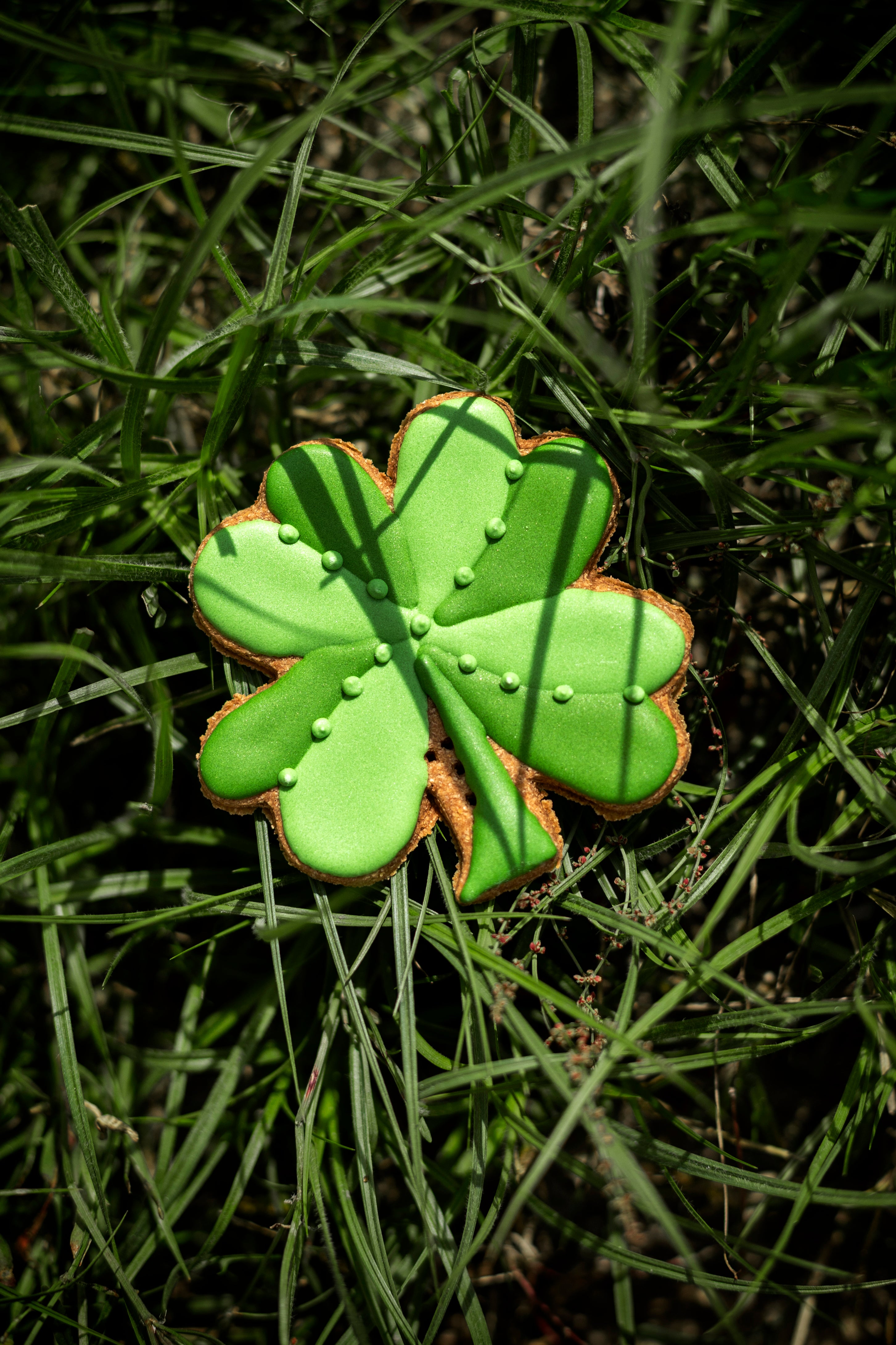Hånddekorerede hestecookies